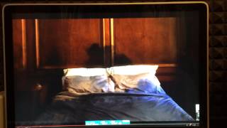 FaltyDL Greater Antilles part 2 In The Wild