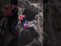 Mudhal Kanave Bgm Remix Mudhal Kanave Bgm