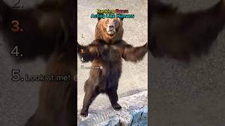 Ranking Bears Acting Like Humans