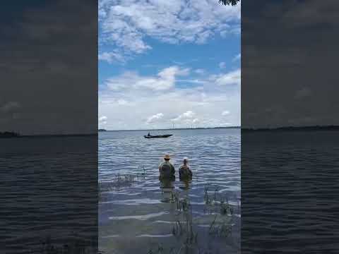 Pescaria #amazonas #canutama #natureza #garapé #rio #rondonia #pescaria #peixes