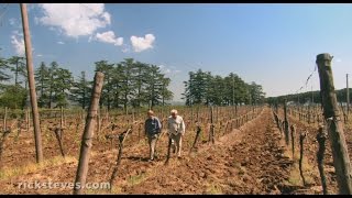 preview picture of video 'Orvieto Italy: Family-run Winery'