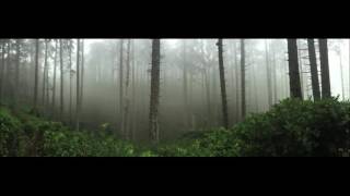 Roses and Revolutions -  Pines (Robot Koch Remix)