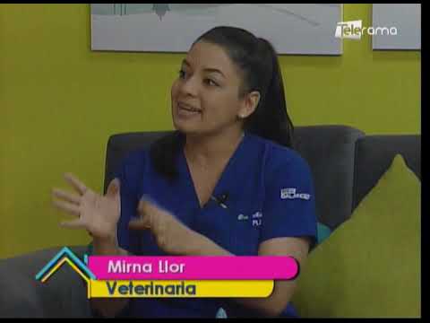 Perros agresivos ¿Nacen o se hacen?