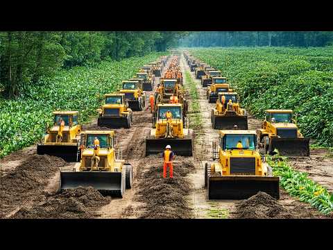 This Is Why Kudzu Is a $2.3 Billion Problem for the U.S.!..