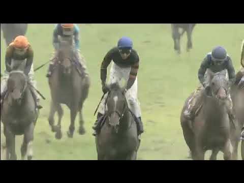 Kitasan Black wins the 2017 Autumn Tenno Sho