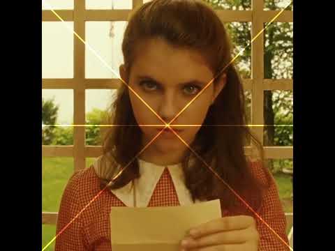 Wes Anderson’s symmetry