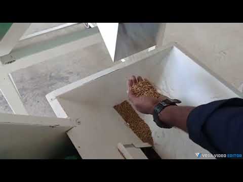 Wheat Grading Plant
