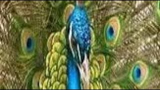 CHILLIN IN THE YARN ROOM 💓💓💓💓