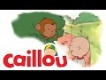 Caillou Caillou Goes To The Zoo S01E23 Videos For Kids