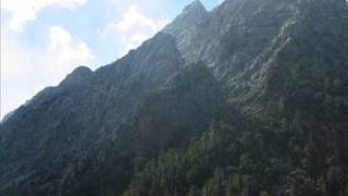 Move Mountain - Lorene Williams