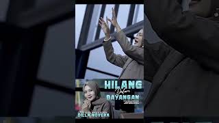 Download lagu Dilla Novera - Hilang Dalam Bayangan mp3
