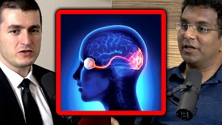 Visual cortex is not just a feedforward cascade of neurons | Dileep George and Lex Fridman