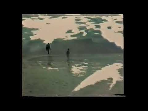 TRIDENT - Trident'94 ''Leprophecy'' = 2016 ''Face of Industry"