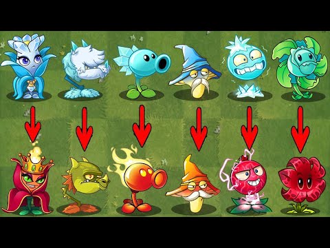 PvZ 2 Discovery - Similar Shape Plants But Different Attributes (China & International)!