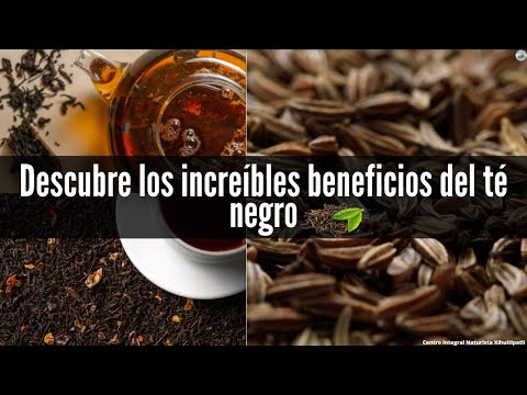 Beneficios y Usos del Té Negro