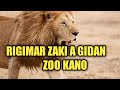 Ku kalli yadda zaki yake hankoron fitowa daga Gidan Zoo yau
