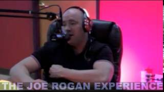 "Boxing Gyms" with Dana White (from Joe Rogan Experience #327)