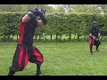 Techniques in Freefights: Zwerch (Thwart Strike)