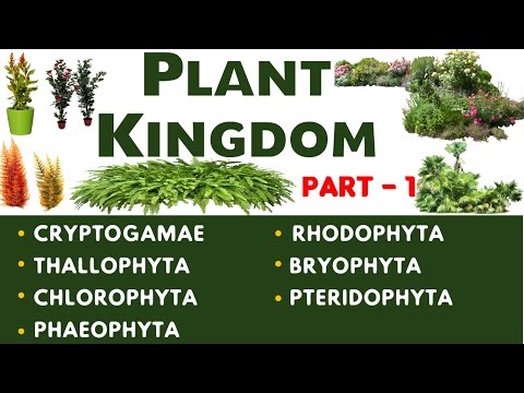 Plant Kingdom Part -1 Important Biology Lecture chapter-11(SSC , UPSC , CDS , PSC and other Govt) Video