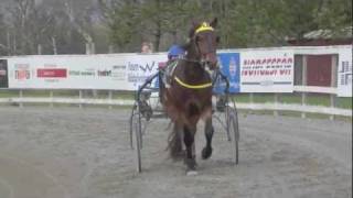 preview picture of video 'Birk vinner på Skoglund'