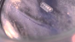 Tropics - House of leaves