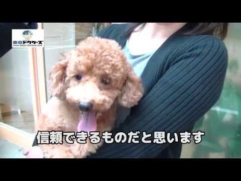 飼い主女性の声