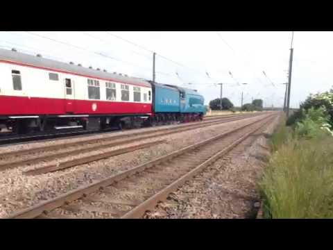 4464 Bittern VERY FAST 90mph 29th June 2013 Ebor Streak