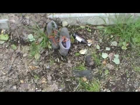 How To Start A Zen Group | James Ford