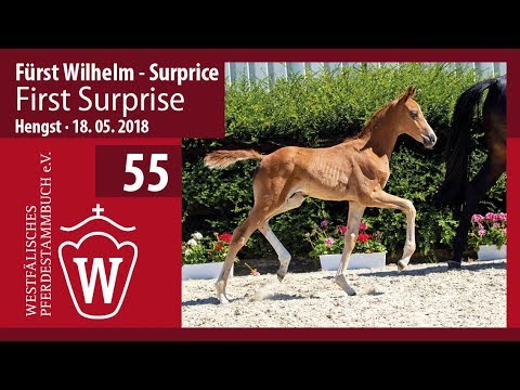 055 First Surprise HF v. Fürst Wilhelm - Surprice