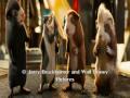 G Force Trailer Credits