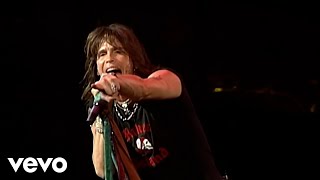 Aerosmith - Cryin' (Official HD Video)