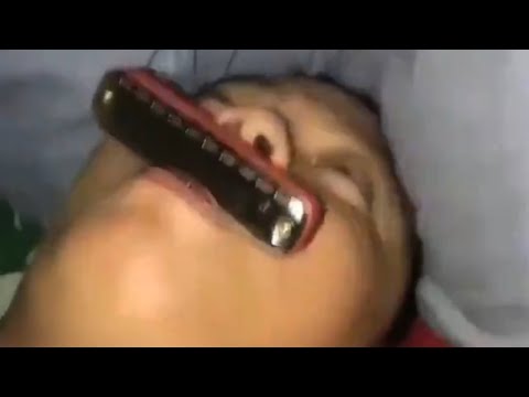 BEST MEMES COMPILATION 2022 #22