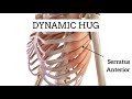 Dynamic Hug Serratus Anterior