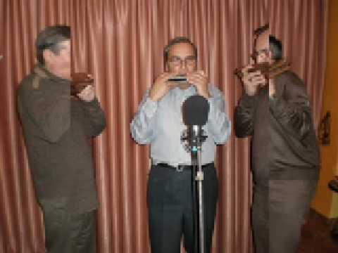 Trio Polifonic harmonica - De ce Omul cat traieste