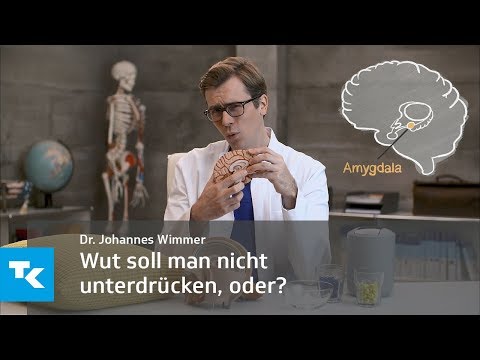 Wut soll man nicht unterdrücken, oder? | Dr. Johannes Wimmer