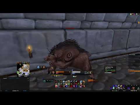 Owning and Getting Owned #4 | feral druid world pvp | WoW Classic Anniversary