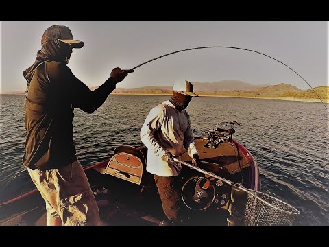 4TH PLACE FINISH!  ABA Diamond Valley Lake Night Tournament!