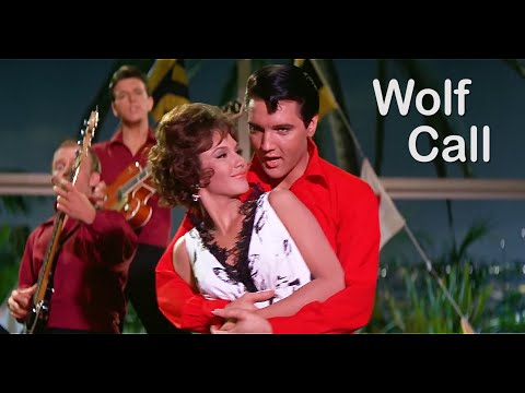 Video thumbnail for Wolf Call