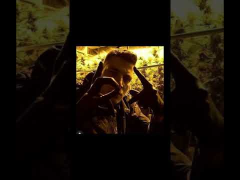 GZUZ - ALLSTARS 2013 (ENTLASS AUS DEM KNAST)