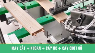 Máy Cắt 2 đầu , Phun keo, Đóng chốt gỗ Woodmaster