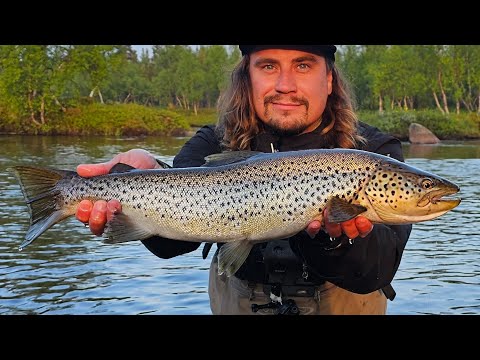 KAAMASJOEN JÄTTITAIMEN | KALASTUSTA INARISSA