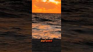 Bear in Heaven - Autumn