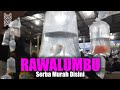 Pasar Malam Ikan Hias Rawalumbu