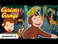 George S WILD Animal Adventures CURIOUS GEORGE