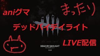 aniグマ のDBDライブ ストリーム (PC)