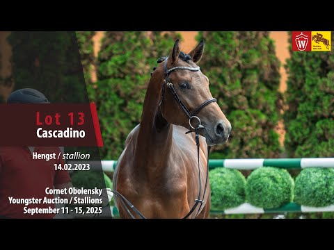 Cornet Obolensky Auction Lot 13 Cornet's Casallo Hengst v.Captain Fire - Cornet Obolensky