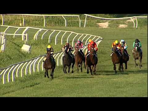 Napoli Galoppo 13/06/2023 - 3ª corsa