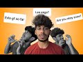 Answering All Your Questions Updates Guyskills