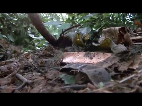 Corto Épico- ¡HA NO!