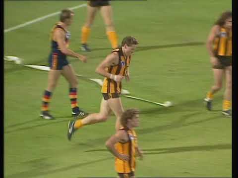 1991 R1 Adelaide v Hawthorn